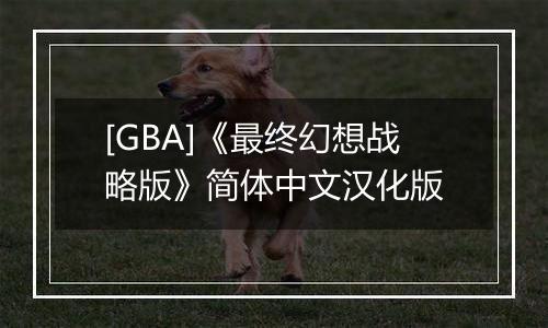 [GBA]《最终幻想战略版》简体中文汉化版