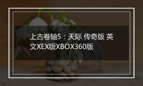 上古卷轴5:天际 传奇版 英文XEX版XBOX360版