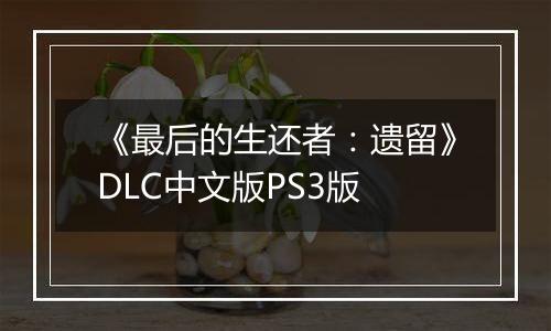 《最后的生还者:遗留》DLC中文版PS3版