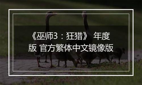 《巫师3:狂猎》 年度版 官方繁体中文镜像版