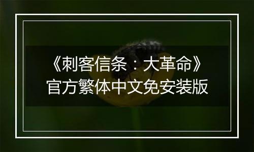 《刺客信条:大革命》官方繁体中文免安装版