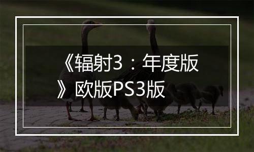 《辐射3：年度版》欧版PS3版最新版