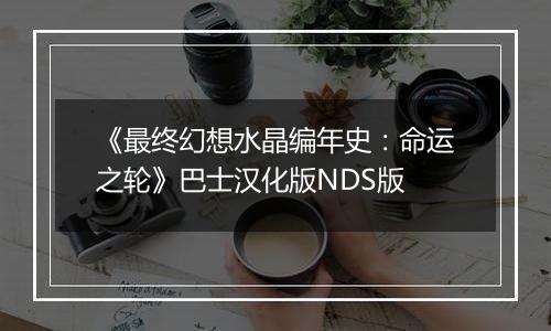 《最终幻想水晶编年史：命运之轮》巴士汉化版NDS版