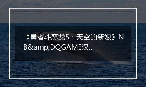 《勇者斗恶龙5:天空的新娘》NB&DQGAME汉化版NDS版