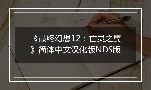 《最终幻想12：亡灵之翼》简体中文汉化版NDS版