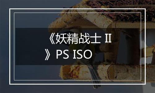 《妖精战士 II》PS ISO