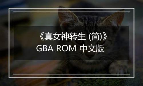 《真女神转生 (简)》GBA ROM 中文版