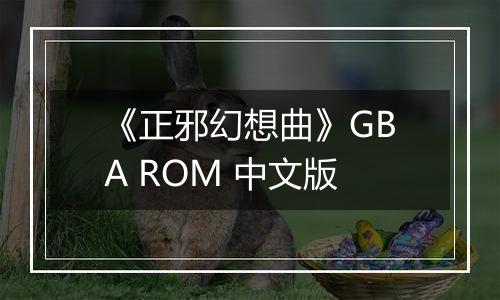《正邪幻想曲》GBA ROM 中文版