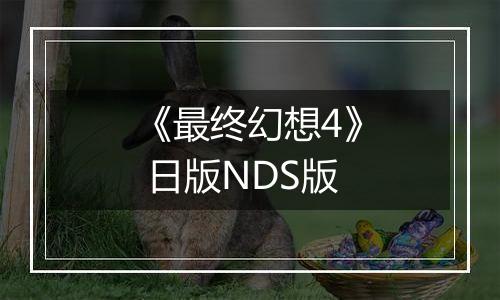 《最终幻想4》 日版NDS版