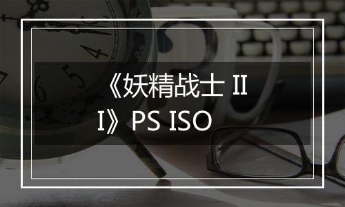 《妖精战士 III》PS ISO