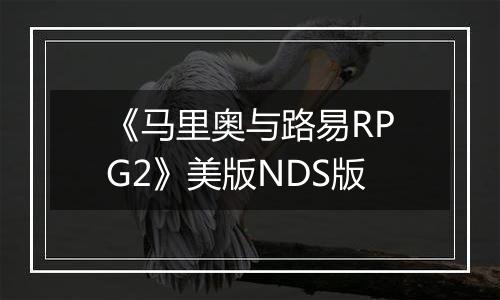 《马里奥与路易RPG2》美版NDS版