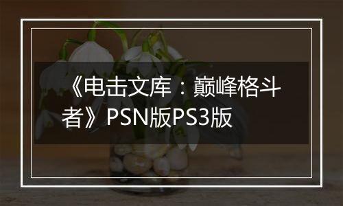 《电击文库：巅峰格斗者》PSN版PS3版最新版