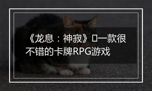 《龙息：神寂》​一款很不错的卡牌RPG游戏