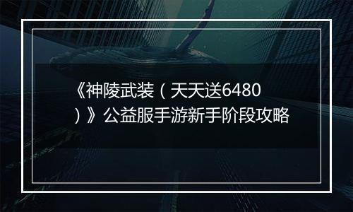 《神陵武装（天天送6480）》公益服手游新手阶段攻略