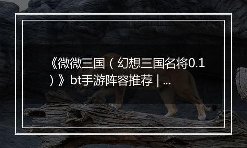 《微微三国（幻想三国名将0.1）》bt手游阵容推荐 | 极限秒杀介绍
