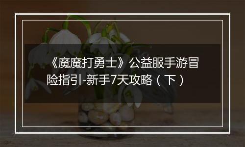 《魔魔打勇士》公益服手游冒险指引-新手7天攻略（下）