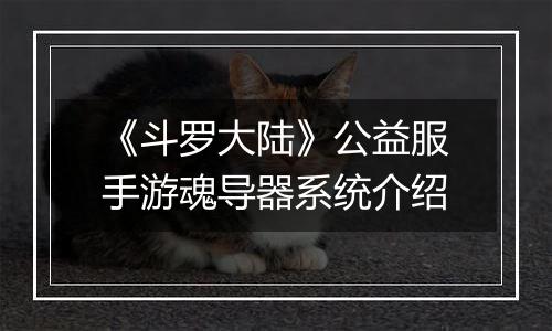 《斗罗大陆》公益服手游魂导器系统介绍