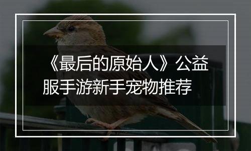 《最后的原始人》公益服手游新手宠物推荐