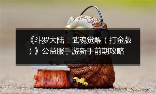 《斗罗大陆：武魂觉醒（打金版）》公益服手游新手前期攻略