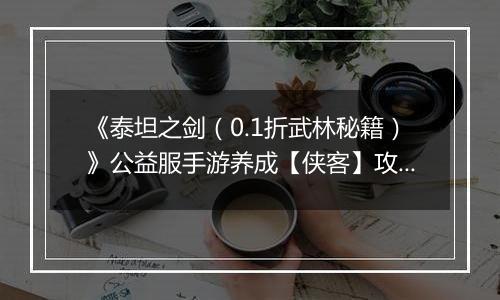 《泰坦之剑（0.1折武林秘籍）》公益服手游养成【侠客】攻略