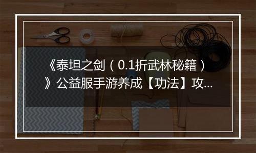 《泰坦之剑（0.1折武林秘籍）》公益服手游养成【功法】攻略