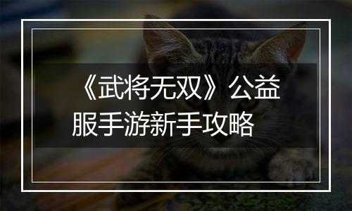 《武将无双》公益服手游新手攻略