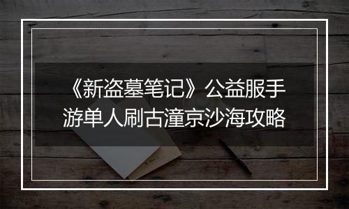 《新盗墓笔记》公益服手游单人刷古潼京沙海攻略