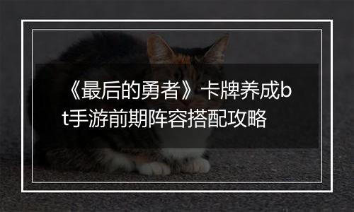 《最后的勇者》卡牌养成bt手游前期阵容搭配攻略
