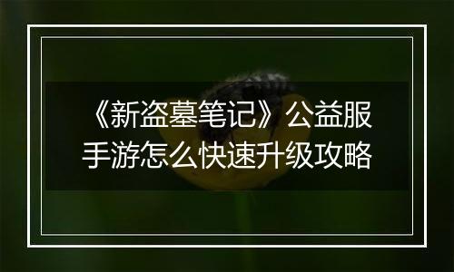 《新盗墓笔记》公益服手游怎么快速升级攻略