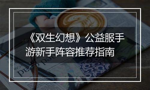 《双生幻想》公益服手游新手阵容推荐指南