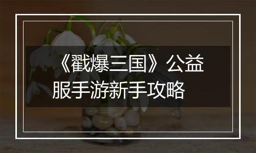 《戳爆三国》公益服手游新手攻略