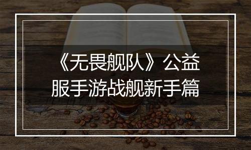 《无畏舰队》公益服手游战舰新手篇