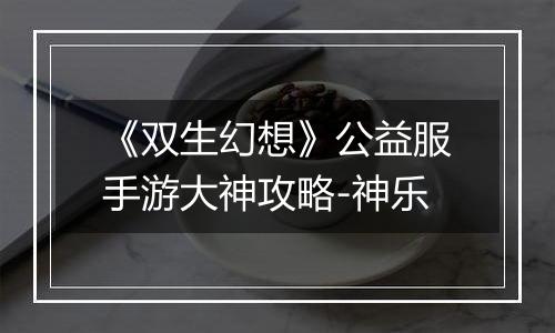 《双生幻想》公益服手游大神攻略-神乐