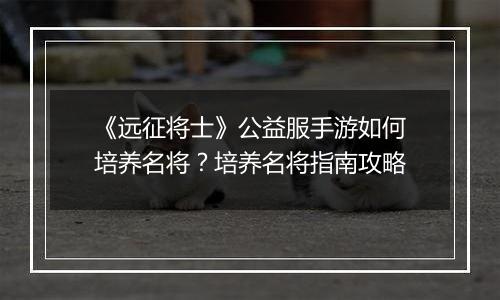 《远征将士》公益服手游如何培养名将？培养名将指南攻略