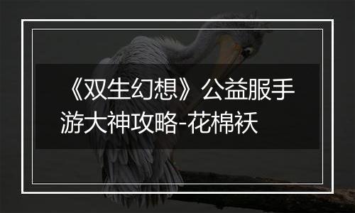 《双生幻想》公益服手游大神攻略-花棉袄