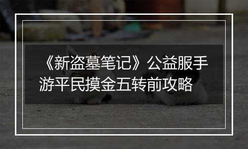 《新盗墓笔记》公益服手游平民摸金五转前攻略