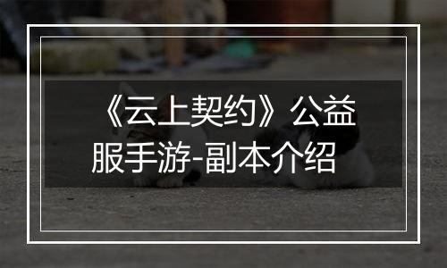 《云上契约》公益服手游-副本介绍