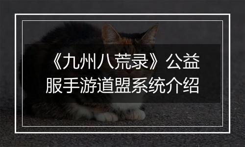 《九州八荒录》公益服手游道盟系统介绍