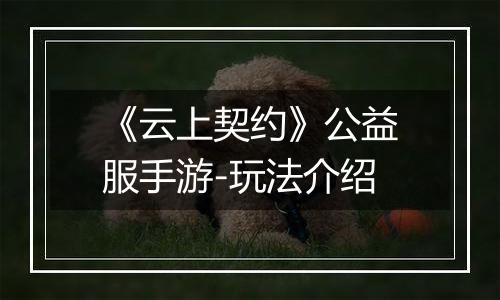 《云上契约》公益服手游-玩法介绍