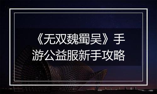 《无双魏蜀吴》手游公益服新手攻略