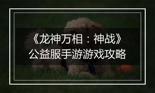 《龙神万相：神战》公益服手游游戏攻略