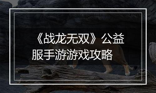 《战龙无双》公益服手游游戏攻略