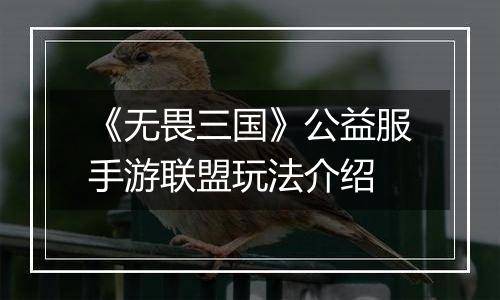 《无畏三国》公益服手游联盟玩法介绍