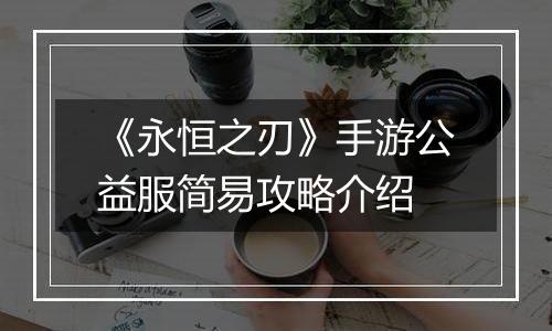 《永恒之刃》手游公益服简易攻略介绍