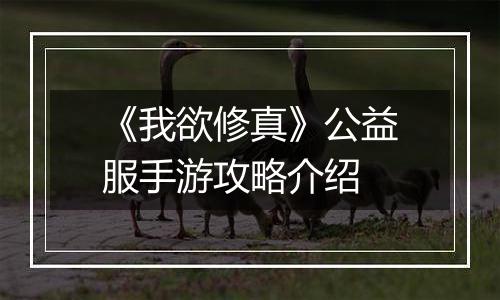 《我欲修真》公益服手游攻略介绍