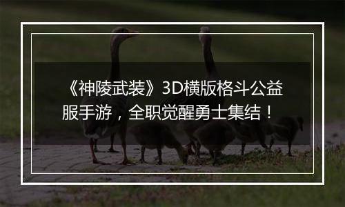 《神陵武装》3D横版格斗公益服手游，全职觉醒勇士集结！