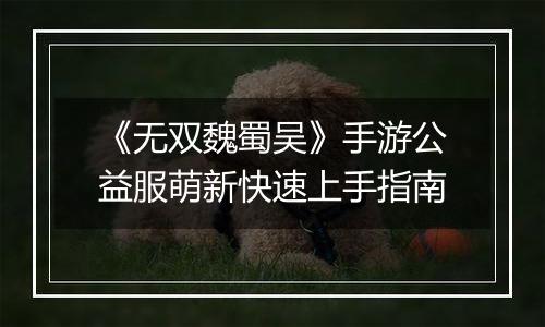《无双魏蜀吴》手游公益服萌新快速上手指南