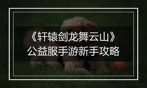 《轩辕剑龙舞云山》公益服手游新手攻略