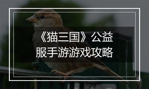 《猫三国》公益服手游游戏攻略