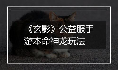 《玄影》公益服手游本命神龙玩法